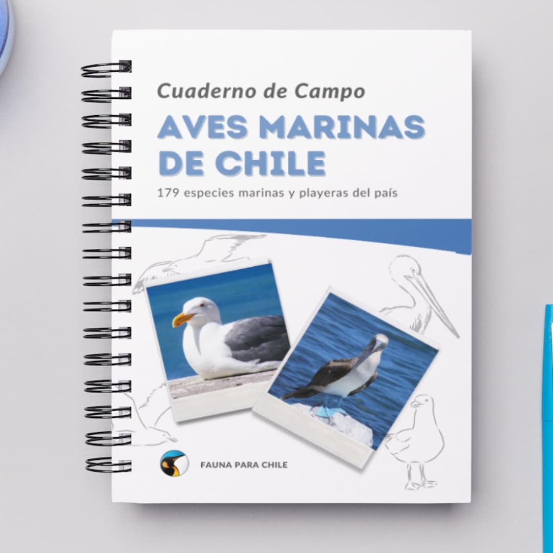 Cuaderno de Campo - Aves marinas y playeras de Chile - Aves de Chile