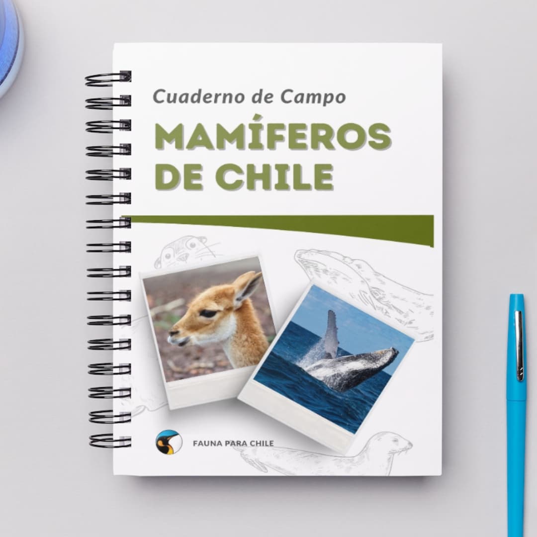 Cuaderno de Campo - Mamíferos de Chile - Mamíferos de Chile