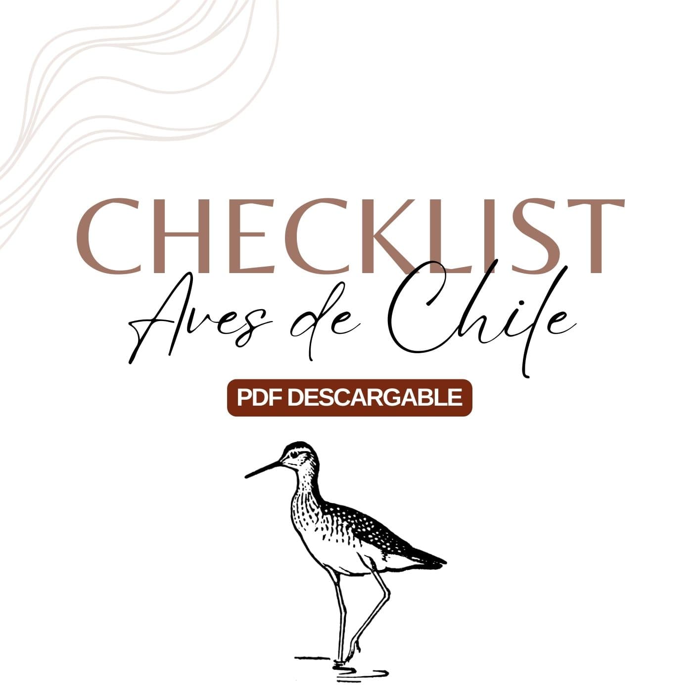 Checklist Aves de Chile  (547 especies) - PDF descargable - Aves de Chile