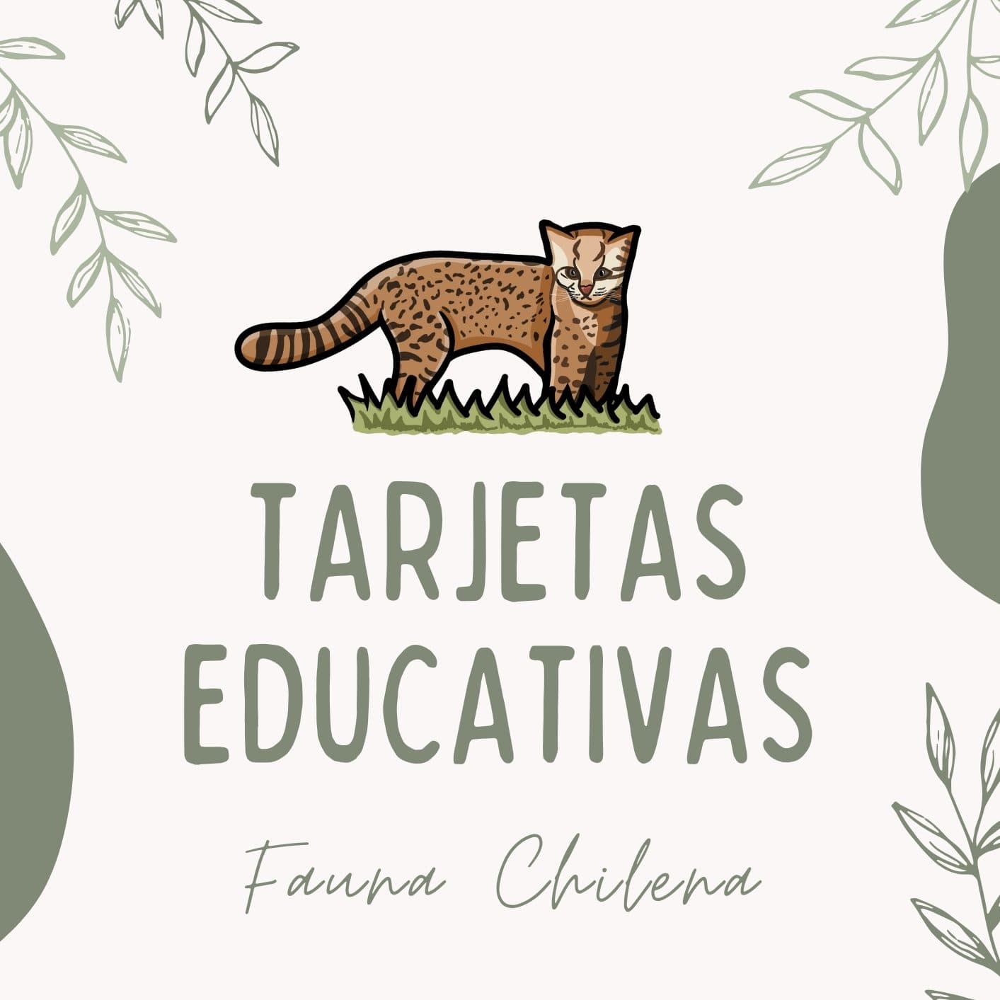 Tarjetas Educativas - PDF descargable - Especie chilena por documentar