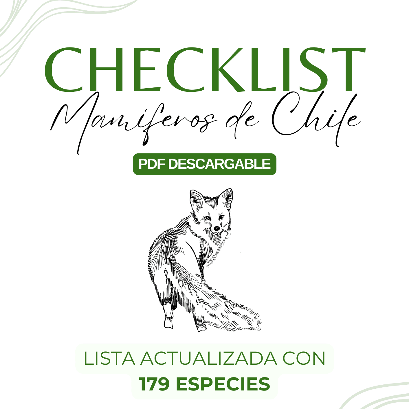 Checklist Mamíferos de Chile (179 especies) - PDF descargable - Mamíferos de Chile