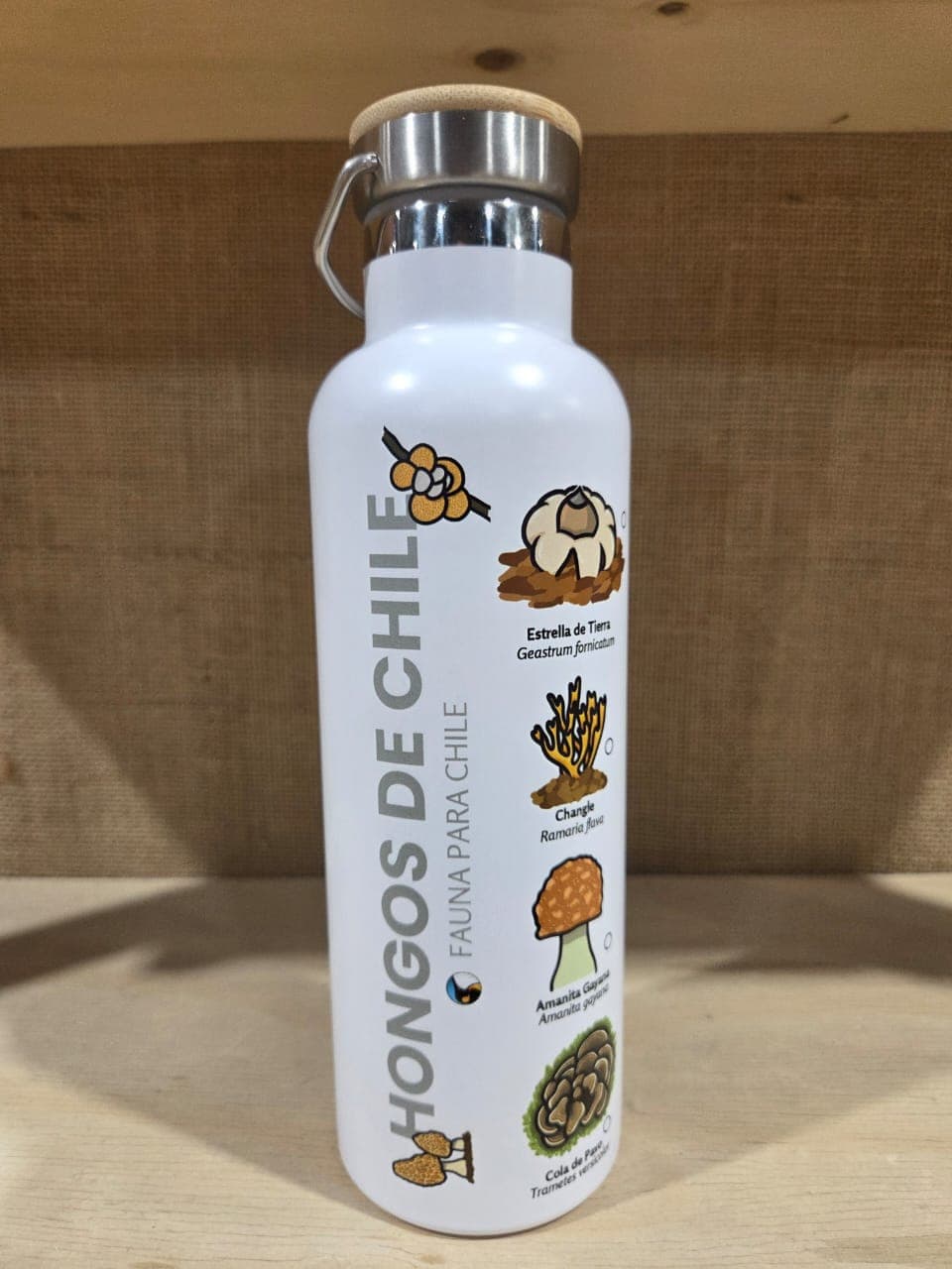 Botella Checklist Hongos de Chile - Funga de Chile