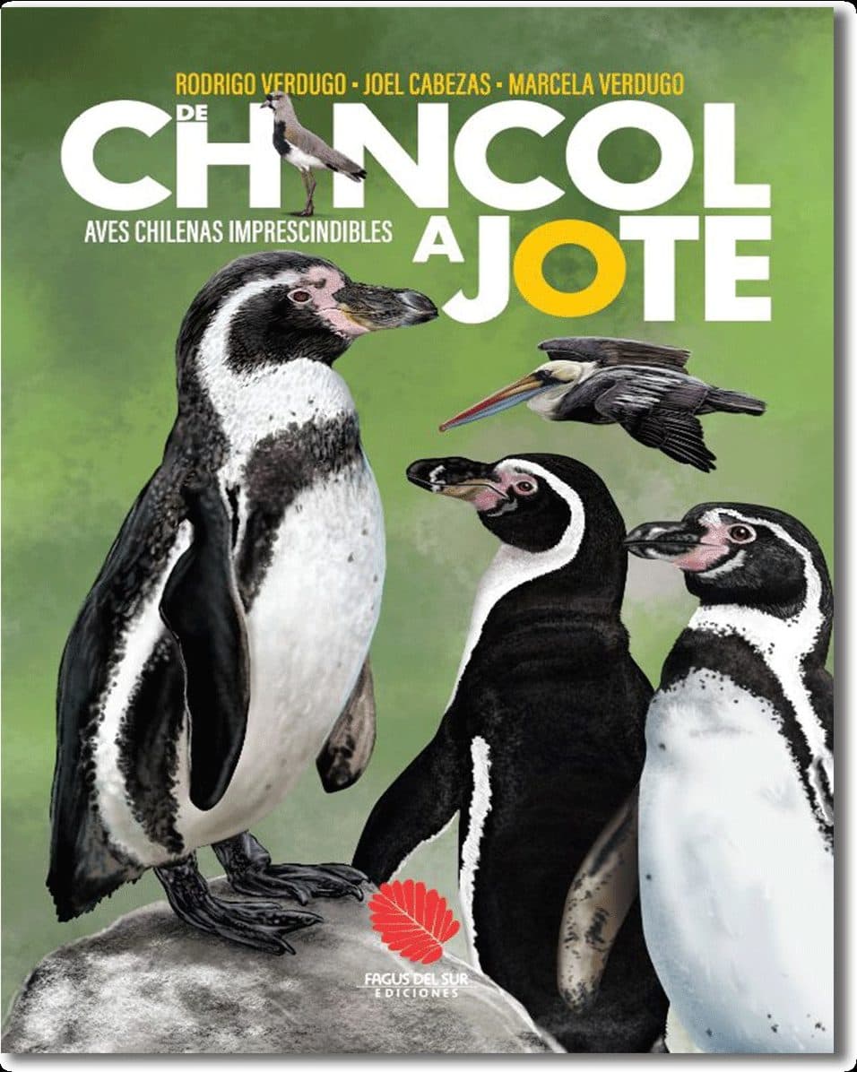 Libro De Chincol a Jote - Aves chilenas imprescindibles