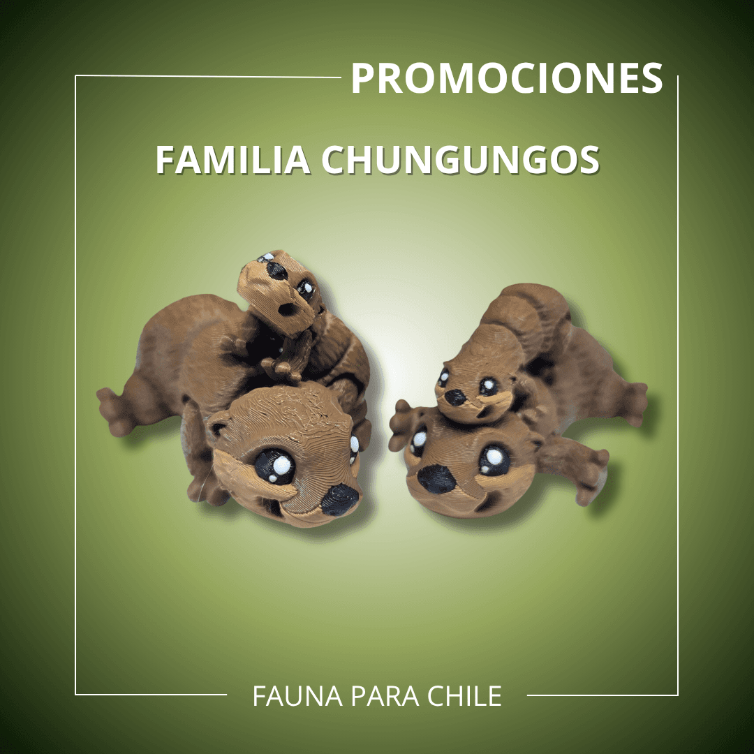 Familia Chungungos - Lontra felina